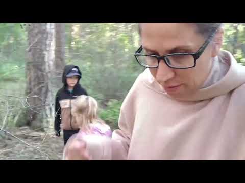 Видео: МЫ ВЕРНУЛИСЬ / СПУСТЯ ЧЕТЫРЕ МЕСЯЦА / ВЛОГ