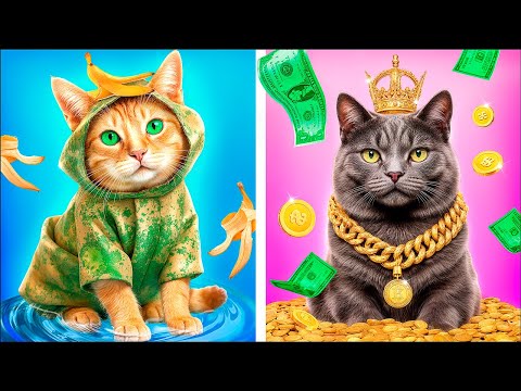 Видео: Строим домик для животных! Бедный vs богатый!