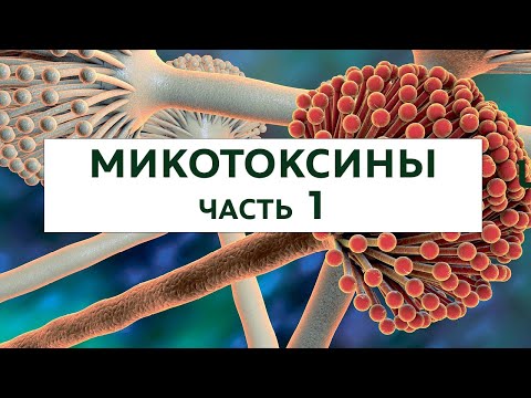 Видео: Микотоксины, часть 1.