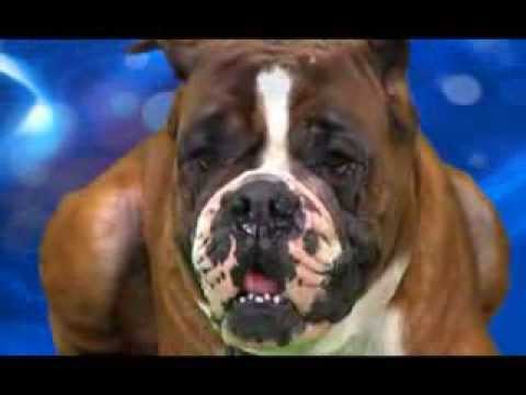 Видео: Программа «Волшебный микрофон» - эфир от 2013.08.18