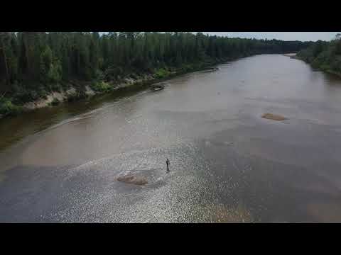 Видео: Шарья Красный Яр Костромская Область река Ветлуга #неминутыпокоя