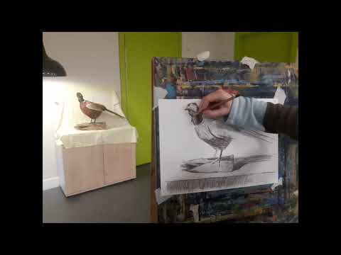 Видео: Рисунок чучела птицы. Преподаватель Дюпина Е.В. / Drawing of a stuffed bird