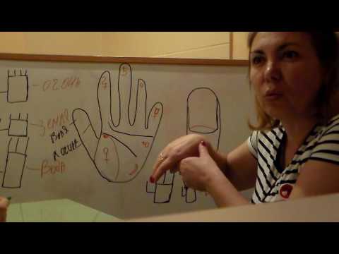 Видео: Уроки Хиромантии. Форма рук. 1