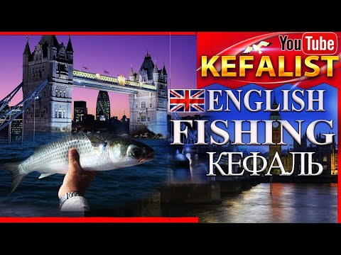 Видео: Как ловят кефаль в Англии? Рыбалка - снасти, наживка, крючки на кефаль: лобань, пиленгас, долгонос