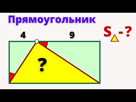 Видео: ВОТ ТАКОЕ КЕНГУРУ! Участвуй, не пожалеешь!