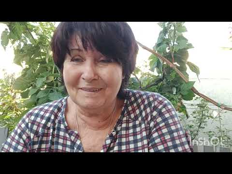 Видео: Посидим поговорим.