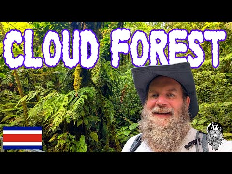 Видео: Поход по облачному лесу Санта-Элена 🇨🇷 | Если я смогла, то и вы сможете!