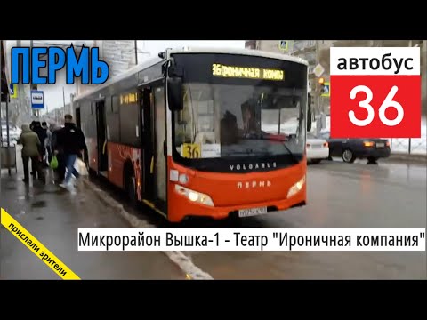 Видео: Пермь автобус 36 Микрорайон Вышка-1 - Театр "Ироничная компания" / 23.02.2022 / Владислав Малыгин