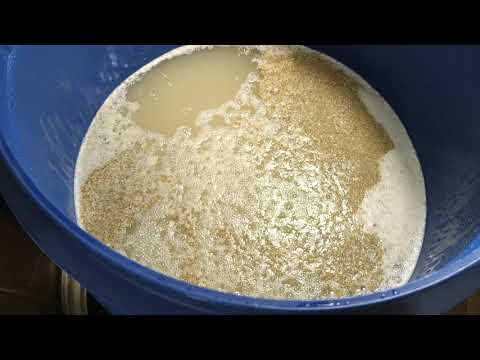 Видео: Рис на  дрожжах кодзи ангел без пригара, сбраживание и первый перегон.