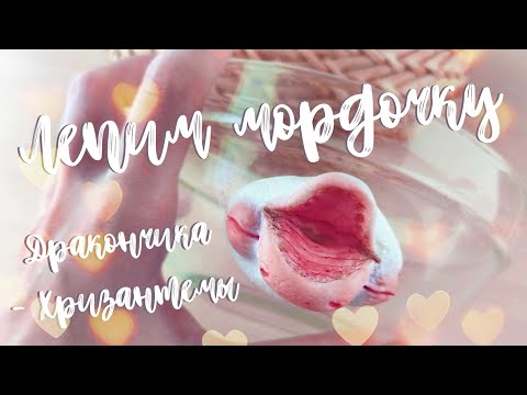 Видео: ЛЕПКА ГОЛОВЫ ИГРУШКИ В СМЕШАННОЙ ТЕХНИКЕ - Лепим Дракончика - Хризантему