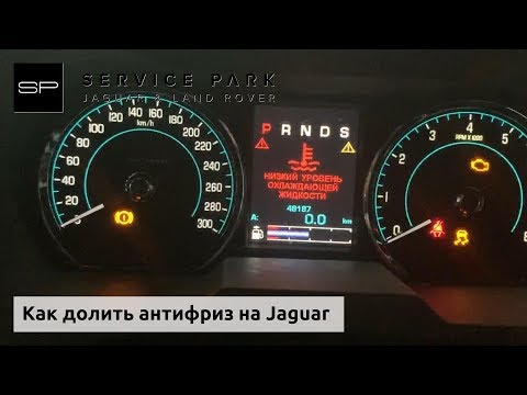 Видео: Как и какой антифриз доливать в Jaguar