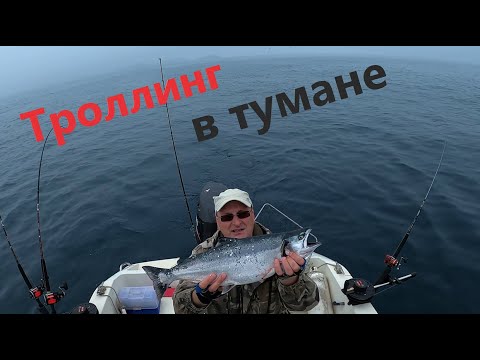 Видео: Троллинг в тумане