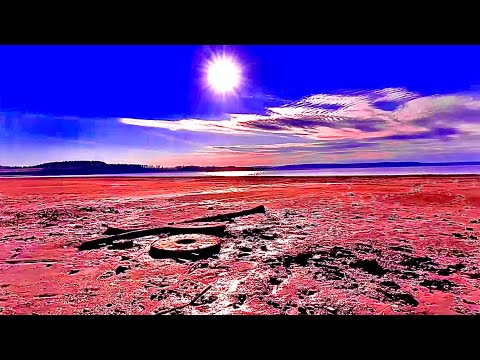 Видео: Кама высохла и открылось дно | Усть-Гаревая