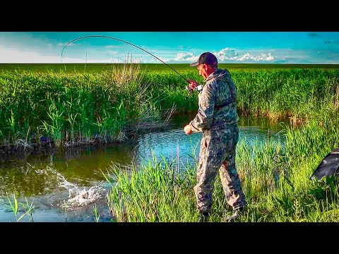 Видео: Рыбалка из детства, в селе, где я родился и вырос. Линь, карась, щука! Путешествие по родным местам