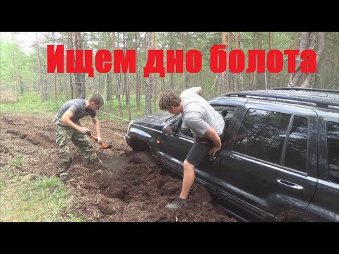 Видео: Возвращение на болотную тропу