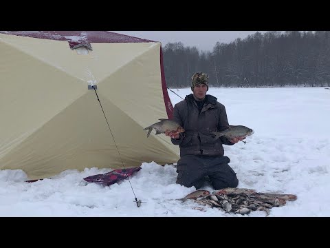 Видео: Рыбалка с комфортом.Рыбалка на леща в Калужской области.Палатка Снегирь 3т Лонг.