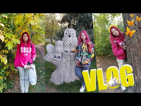 Видео: VLOG! ура)) Все белки в Ботаническом саду? Ловим последние теплые деньки.