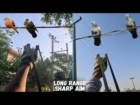 Видео: Стрельба с близкого расстояния до дальнего | Идеальный день охотника на природе