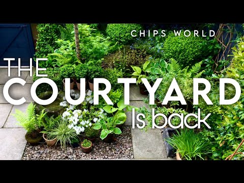 Видео: Дизайн: создание волшебного сада во внутреннем дворике: #преображениезаднегодвора #идеималенького...