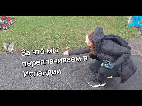Видео: 8 вещей, за которые в Ирландии надо платить (а в других странах не нет)