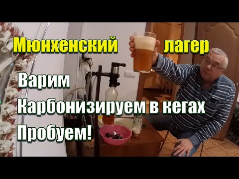 Видео: Варим пиво Мюнхенский лагер, карбонизируем СО2, пробуем!