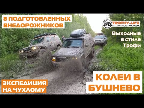 Видео: Внедорожники Чухлома 2020 бездорожье Бушнево УАЗ Тойота Паджеро 4х4 экспедиция покатушка Трофи-лайф