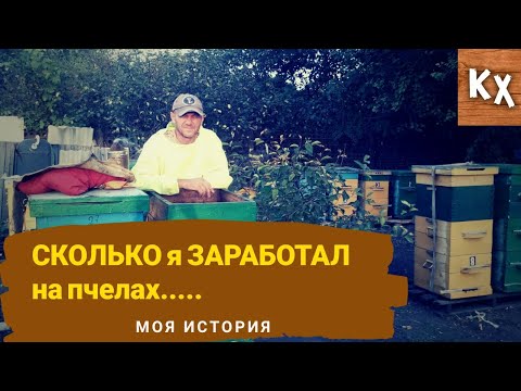 Видео: Содержание пасеки - отличный БИЗНЕС для деревни. Сколько я заработал на пчелах..???