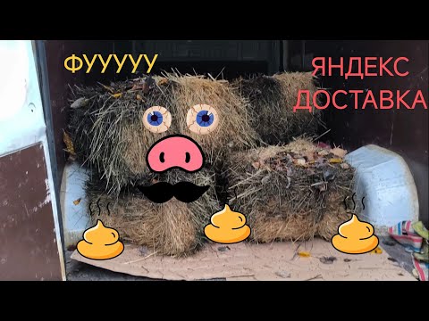Видео: 😱 ЯНДЕКС ДОСТАВКА 😱 Такой заказ я больше не повезу🤮