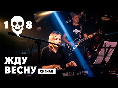 Видео: Сигнал feat Настя Сибрина - Жду весну [23.08.2024, СПб]