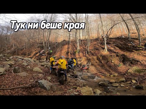 Видео: Али Баба и 400-те разбойници! Отборно състезание