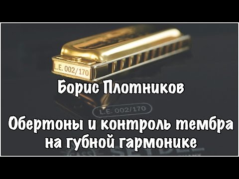 Видео: Как играть на губной гармошке: обертоны, контроль тембра