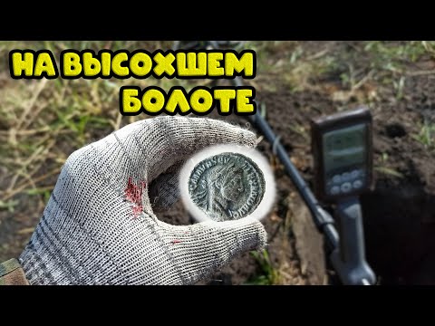Видео: Коп с батей на высохшем болоте,денарии прут