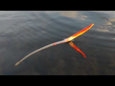 Видео: ПРУД С ЛЕБЕДЯМИ РАЗДАЁТ - ЛИНЬ, ОКУНЬ, ПЛОТВА, КРАСНОПЕРКА, рыбалка на поплавок