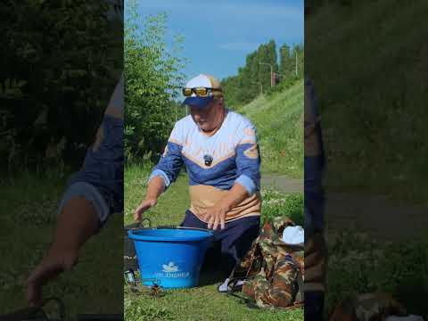 Видео: Замес! #shorts