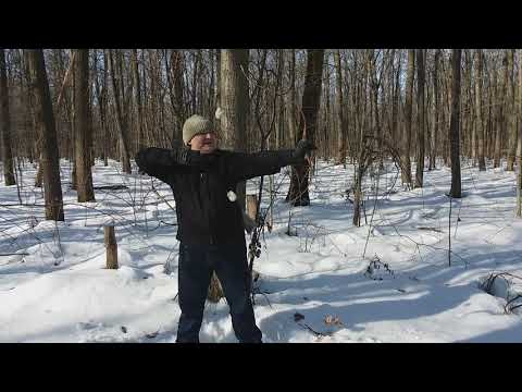 Видео: gera fox традиционный лук первые впечатления (Не все что хорошо выглядит хорошо стреляет)