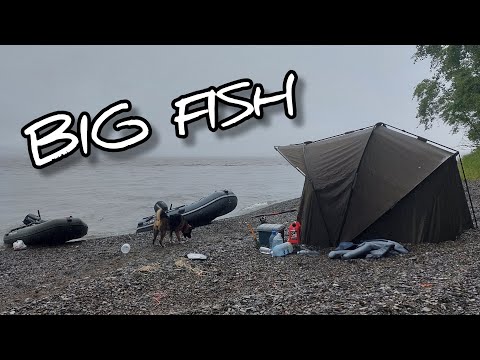 Видео: Открытие новых рыболовных мест на р.Амур  || Рыбалка в плохую погоду на резинку