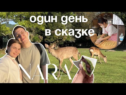 Видео: ЯПОНИЯ ВЛОГ | НАРА - СКАЗОЧНЫЙ ГОРОД ОЛЕНЕЙ 2024