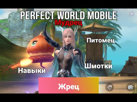 Видео: ГАЙД ЖРЕЦ МУДРЕЦ. НАВЫКИ,ПРОКАЧКА, КАМНИ PERFECT WORLD MOBILE