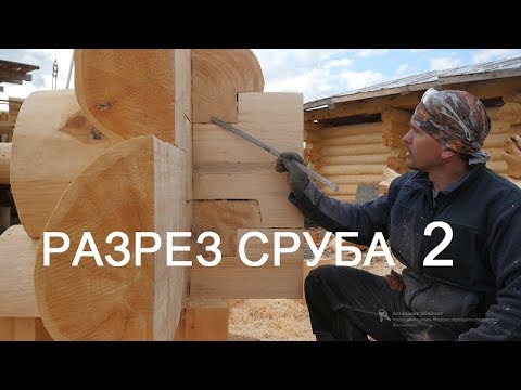 Видео: Разрез Сруба. Часть 2. Сруб из кедра.