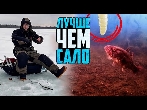 Видео: С КАМЕРОЙ за РОТАНОМ! Первый лёд на зимней рыбалке 2024-25