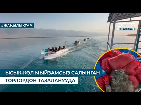 Видео: ЫСЫК-КӨЛ МЫЙЗАМСЫЗ САЛЫНГАН ТОРЛОРДОН ТАЗАЛАНУУДА