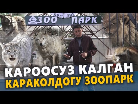 Видео: Кароосуз калган Караколдогу ЗООПАРК / Ысык-Көл / Улукбек карыбек уулу