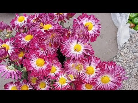 Видео: Готую замовлення на відправку