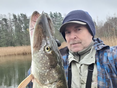 Видео: Щучий беспредел...