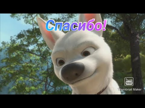 Видео: Клип на 90 подписчиков! (ЧИТ. ОПИС.)