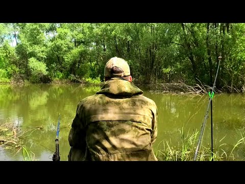 Видео: Нашёл БОЛОТО где ОГРОМНЫЙ КАРАСЬ прёт удочки! Сибирская рыбалка 2021