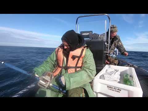 Видео: Раннее открытие осеннего морского сезона 29.08.2020