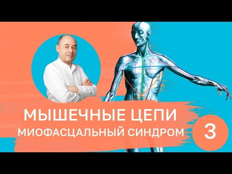 Видео: Мышечные цепи. Миофасциальный синдром. Часть 3.