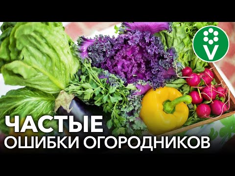 Видео: ТОП-10 ОШИБОК ОГОРОДНИКОВ, из-за которых значительно снижается урожайность