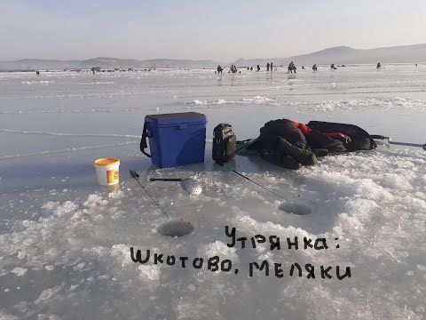 Видео: Навага. 11 января 2023. Рыбалка в приморском крае. Шкотовские меляки. Махалки. подводные съемки